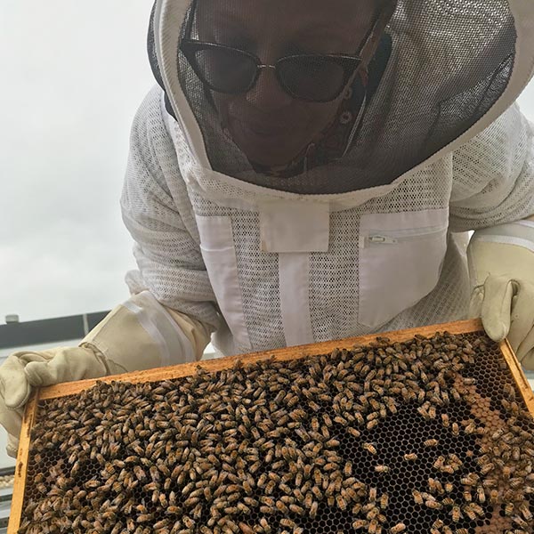 USDA rooftop hive